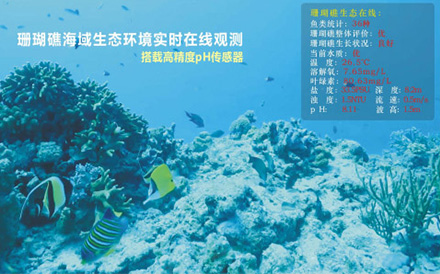 水下波浪在線觀測(cè)系統(tǒng)
